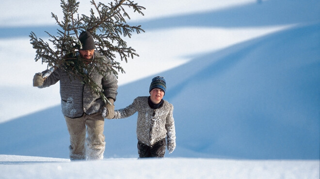 Getting the Christmas tree in the Winterland of Salzburg | © SalzburgerLand Tourismus
