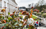 Happy Easter from the Mirabell Gardens in Salzburg | © Tourismus Salzburg / B. Brunauer