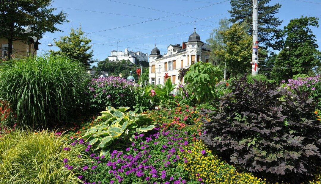 Green traffic island at Dr. Franz Rehrl Platz | © Tourismus Salzburg GmbH / G. Breitegger