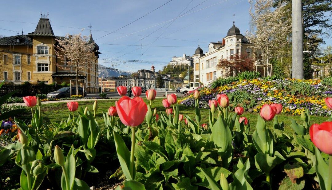 Green traffic island at Dr. Franz Rehrl Platz in Salzburg | © Tourismus Salzburg GmbH / G. Breitegger