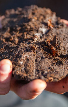 Moor treasures from Anthering next to Salzburg | © SalzburgerLand