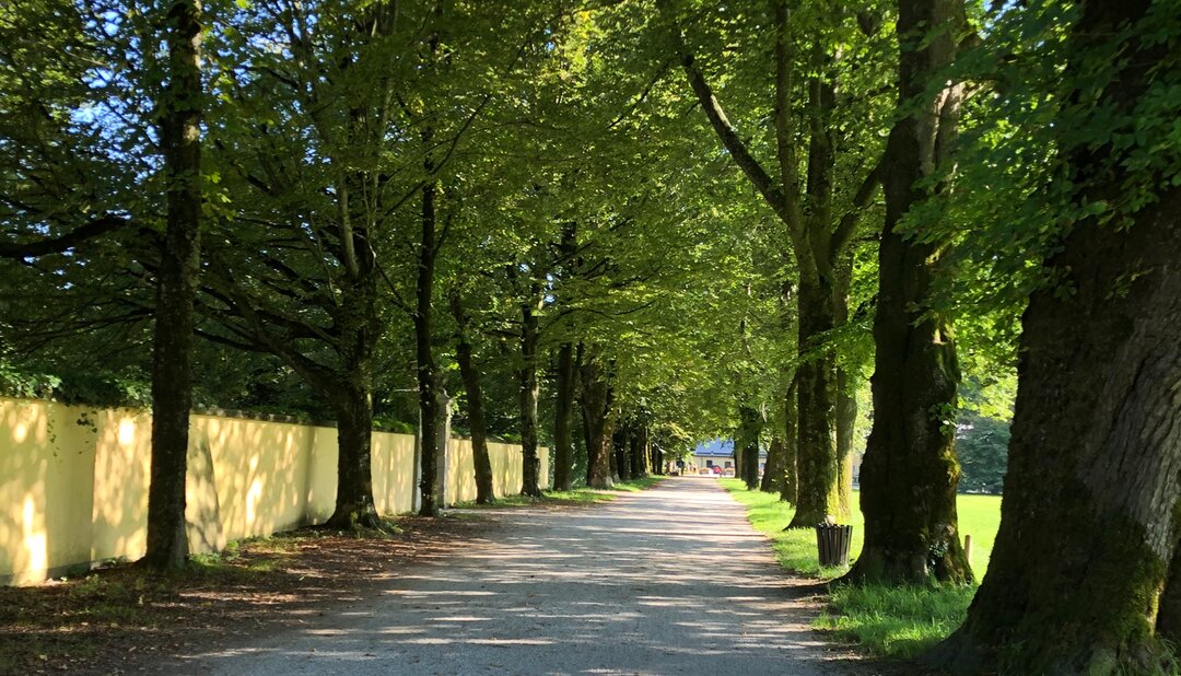Hellbrunner Allee in Salzburg | © Tourismus Salzburg GmbH / K. Brugger