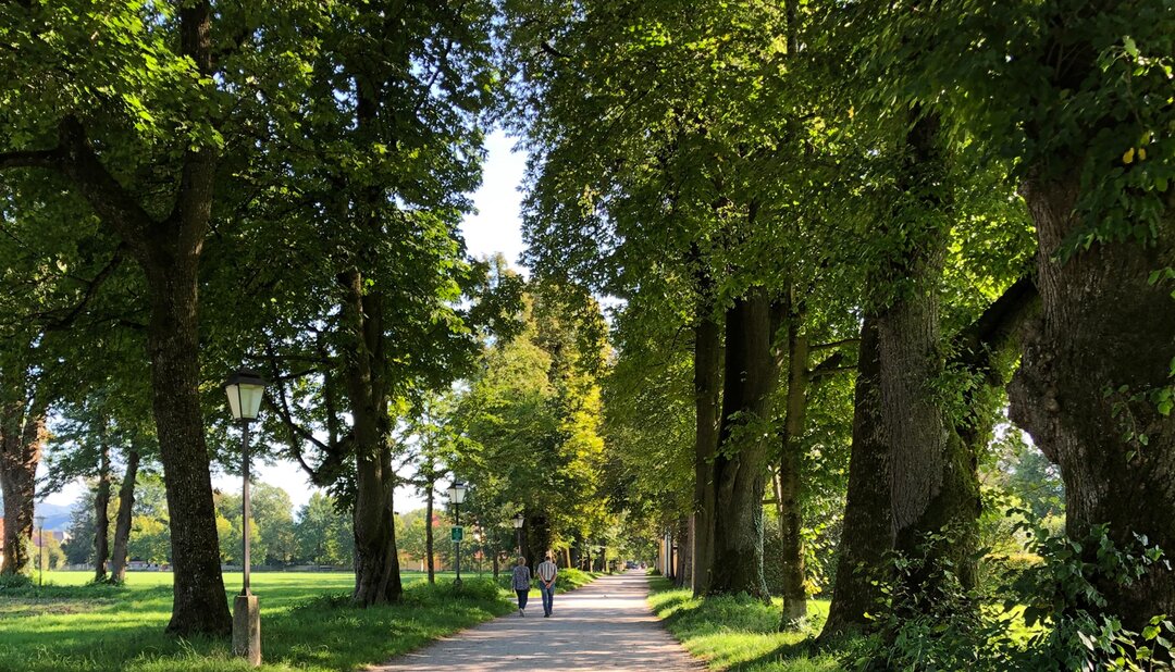 Hellbrunner Allee in Salzburg | © Tourismus Salzburg GmbH / K. Brugger