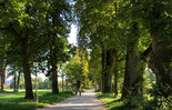 Hellbrunner Allee in Salzburg | © Tourismus Salzburg GmbH / K. Brugger