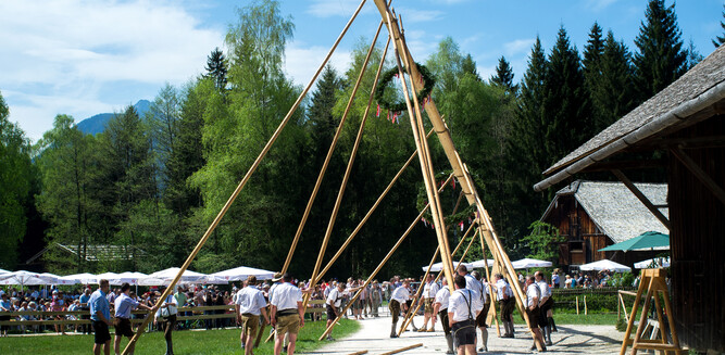 Maypole ceremony in Salzburg | © Tourismus Salzburg / G. Breitegger