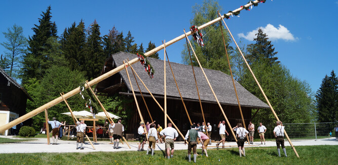Maypole in Salzburg | © Tourismus Salzburg / Stefan Loidl
