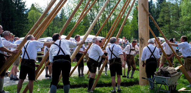 Maypole ceremony in Salzburg | © Tourismus Salzburg / G. Breitegger