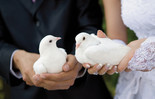 Birds at a Wedding in Salzburg | © Hochzeitstauben Fleckner 