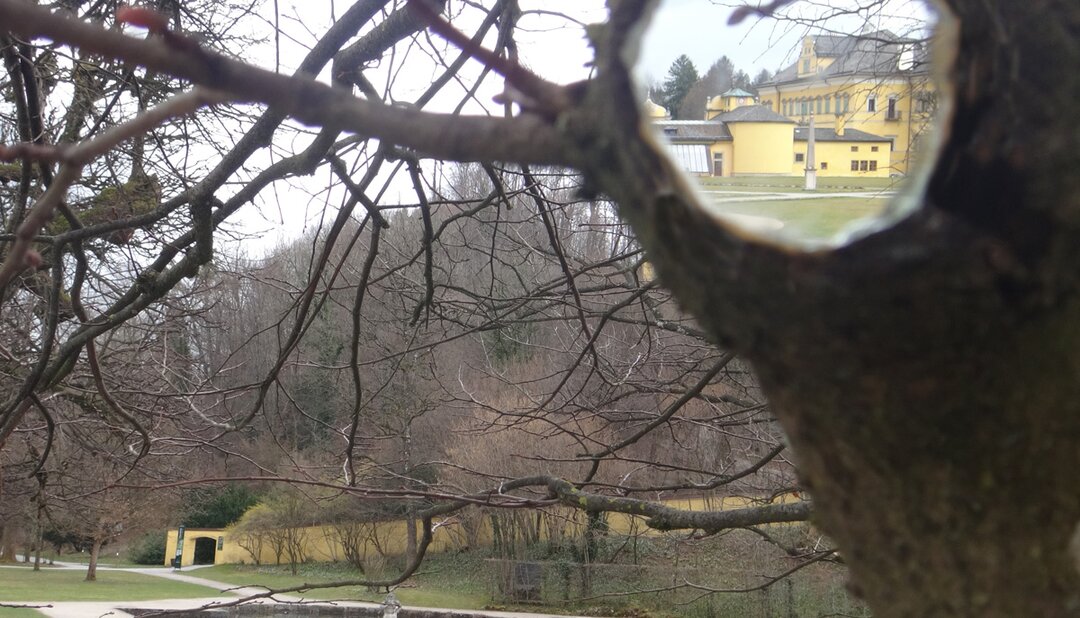 Mirror from the permanent exhibition "Finally Infinite" in Hellbrunn Palace Park | © Schloss Hellbrunn