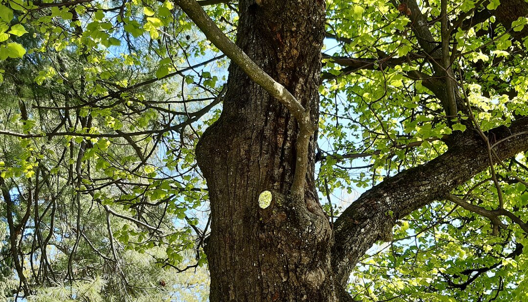 Mirror from the permanent exhibition "Finally Infinite" in Hellbrunn Palace Park | © Tourismus Salzburg GmbH / M. Trummer