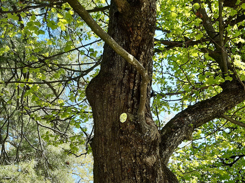 Mirror from the permanent exhibition "Finally Infinite" in Hellbrunn Palace Park | © Tourismus Salzburg GmbH / M. Trummer