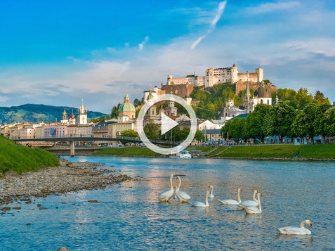 View to the oldtown with the fortress and swans on the Salzach | © Tourismus Salzburg / Günter Breitegger