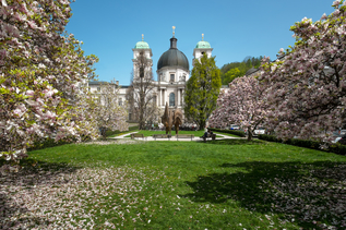 Dreifaltigkeitskirche in Spring in Salzburg | © Tourismus Salzburg