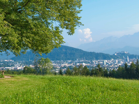 Stadtblick von Maria Plain im Sommer | © Albin Niederstrasser