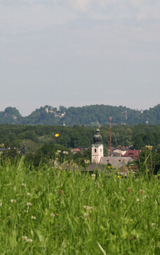 Elsbethen in the south-east of Salzburg with a view of Hohensalzburg Fortress | © TVB Elsbethen / Erwin Fuchsberger