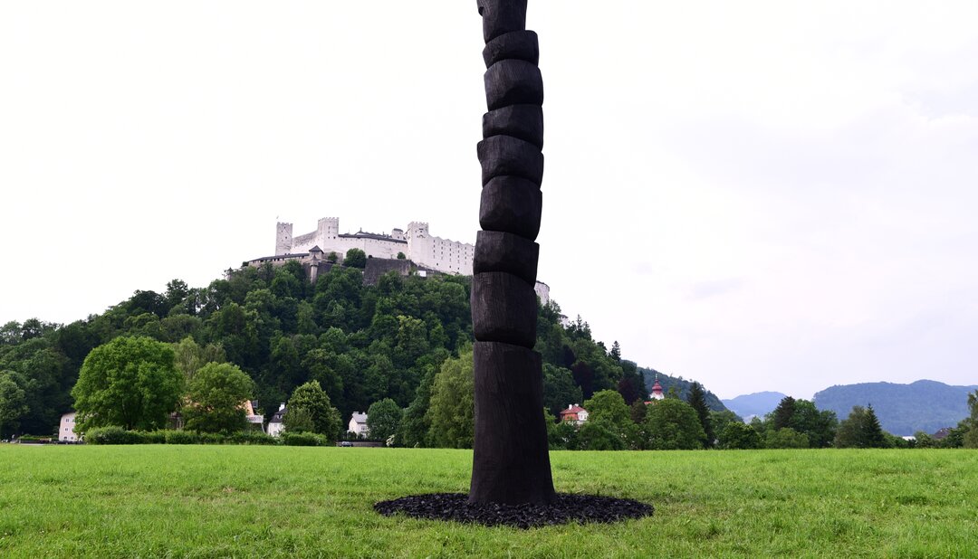 Krauthügel Art Project 2017 - David Nash | © salzburgfoundation.at / Manfred Siebinger