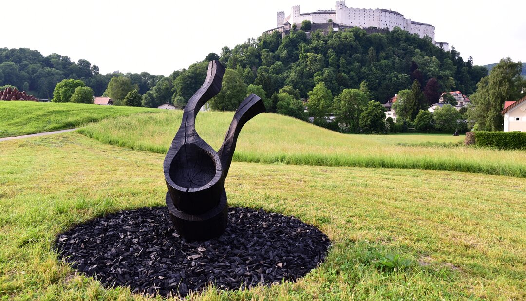 Krauthügel Art Project 2017 - David Nash | © salzburgfoundation.at / Manfred Siebinger