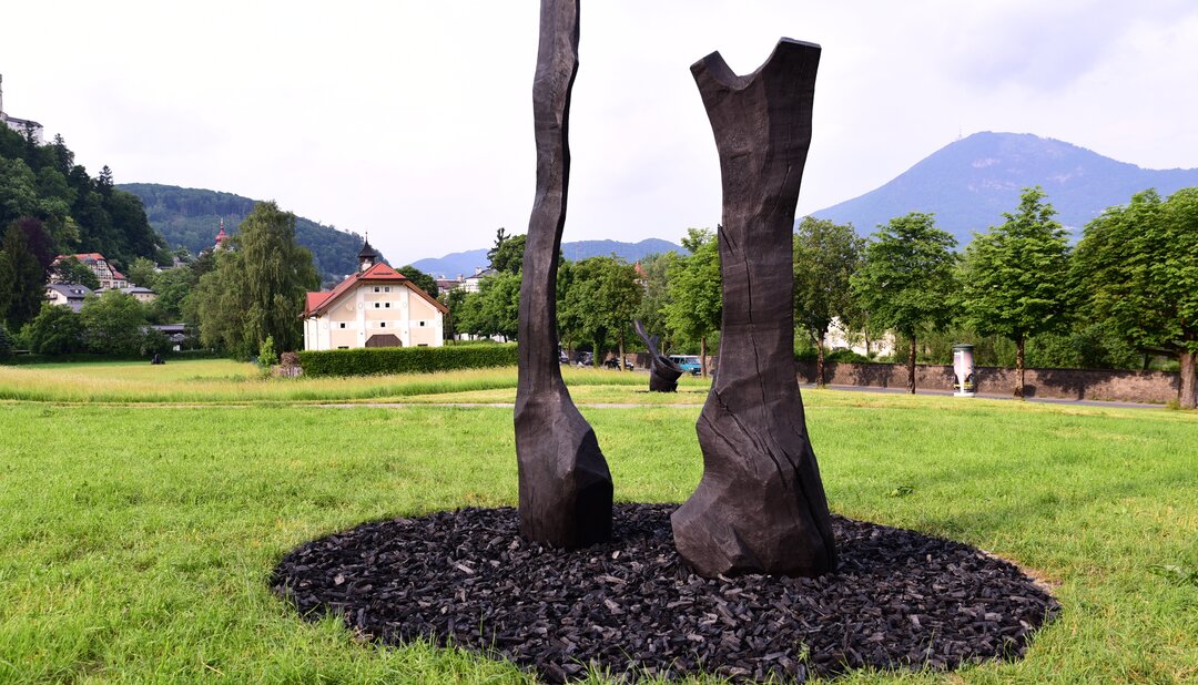 Krauthügel Art Project 2017 - David Nash | © salzburgfoundation.at / Manfred Siebinger