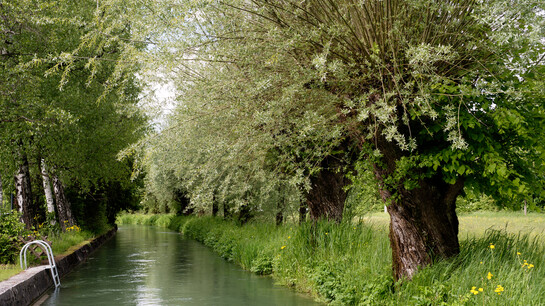 Almkanal in Salzburg | © Susanne Spiel