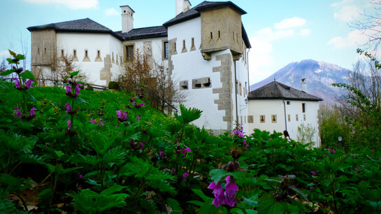 Franziskischlössl at Kapuzinerberg in Salzburg | © knauseders