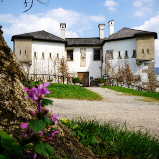 Franziskischlössl at Kapuzinerberg in Salzburg | © knauseders
