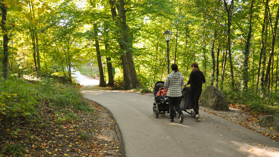 Walking tour at the Mönchsberg in Salzburg  | © Tourismus Salzburg GmbH 