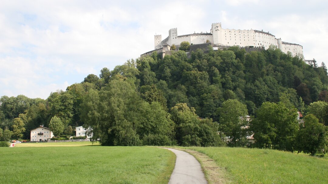 "Krauthügel" in Nonntal with the Hohensalzburg Fortress in the background | © MMPR/Veronika Zangl 