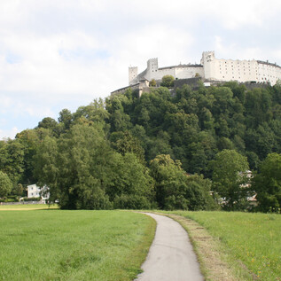 "Krauthügel" in Nonntal with the Hohensalzburg Fortress in the background | © MMPR/Veronika Zangl 