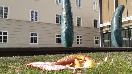 Picnic in the Furtwänglerpark in Salzburg | © Tourismus Salzburg GmbH / M. Trummer