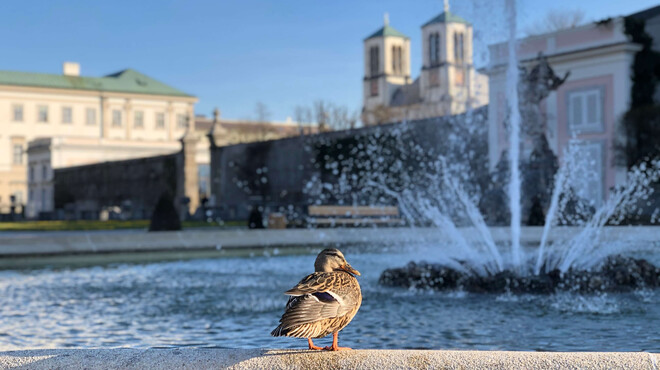 In Merana's sixth case, the fountain in Mirabell Gardens becomes a "Fountain of Death". | © Tourismus Salzburg / K. Brugger
