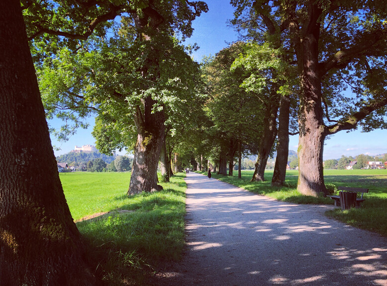 Hellbrunner Allee in Salzburg | © Tourismus Salzburg GmbH / K. Brugger