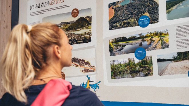 Information boards along the Auerlebnisweg trail provide interesting facts about the flora and fauna. | © Tourismus Salzburg GmbH