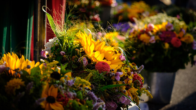 Salzburg’s Schranne | © knaro.at 