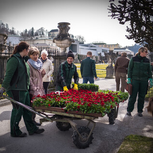 Mirabell Gardens Salzburg  | © knaro.at