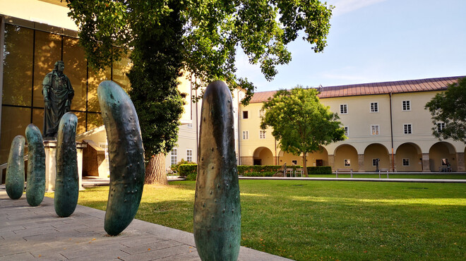 Gurken at Furtwänglerpark in Salzburg | © Veronika Zangl MMPR