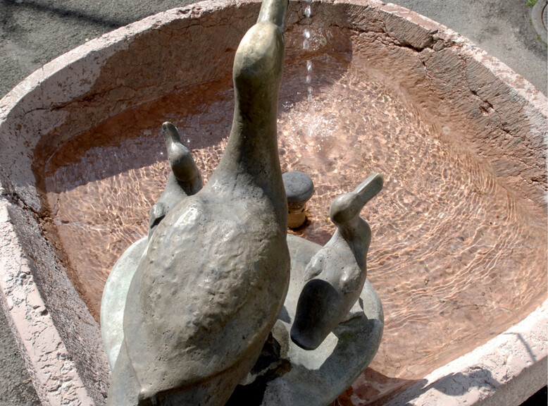 Drinking fountains of Salzburg | ©  Johannes Killer