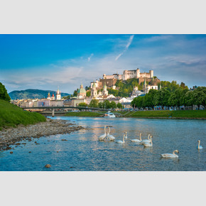 Salzach with swans and the historical old city with Hohensalzburg fortress | © Tourismus Salzburg, Foto: Breitegger Günter