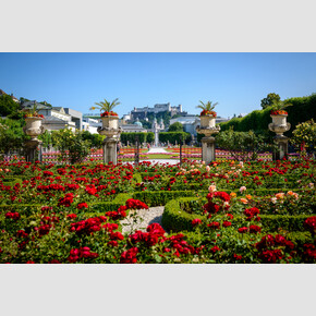 Rose garden at Mirabell garden in Salzburg | © Tourismus Salzburg GmbH
