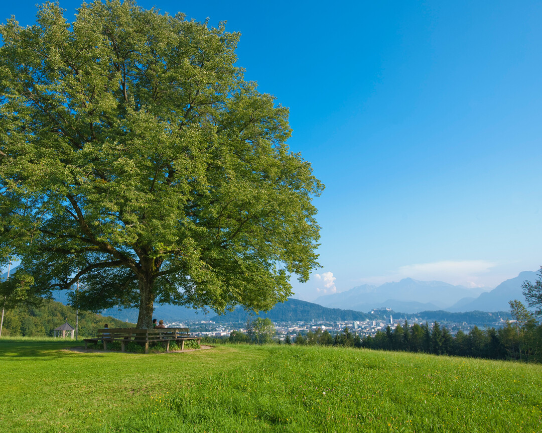 View from Maria Plain down to Salzburg | © Albin Niederstrasser