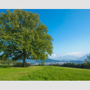 View from Maria Plain down to Salzburg | © Albin Niederstrasser