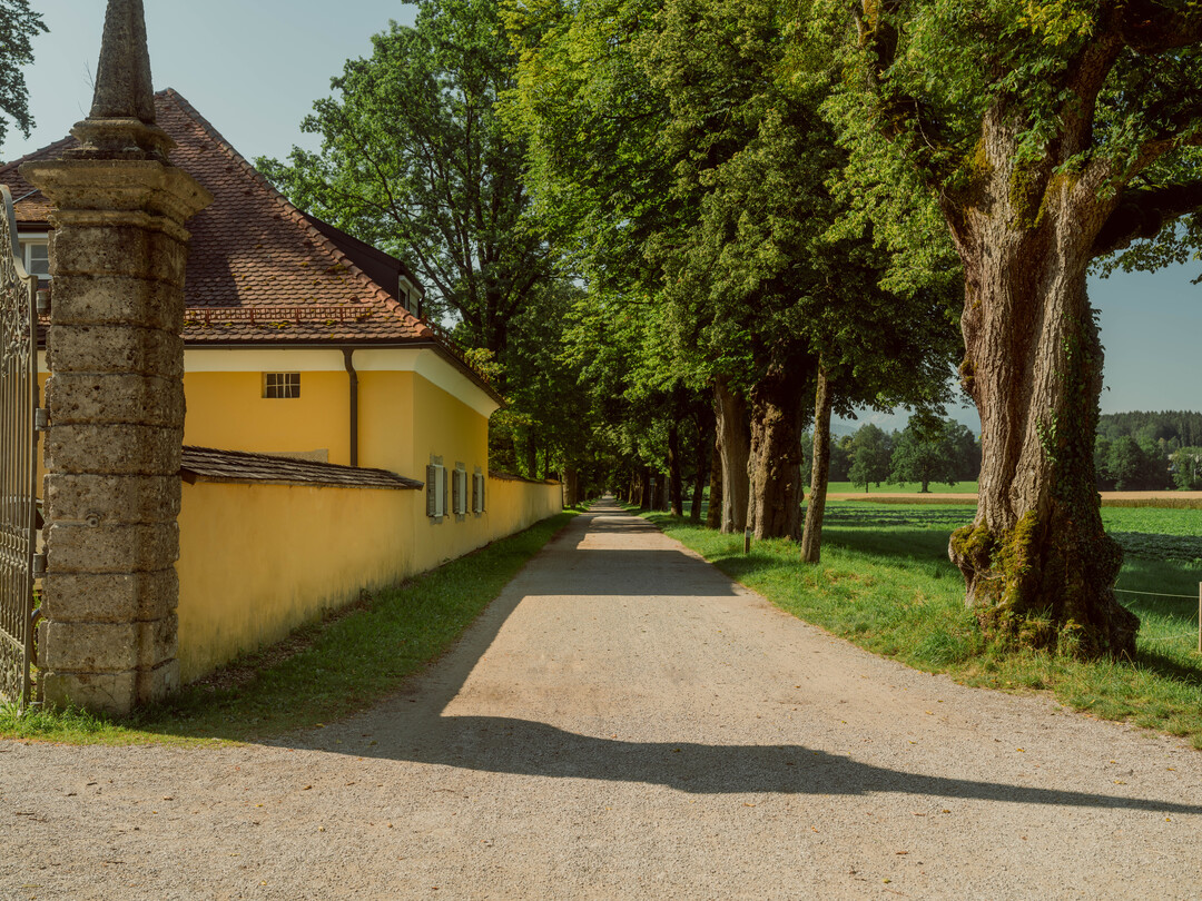 In the film, Maria sings "I Have Confidence" as she makes her way to Frohnburg Palace, depicted as the home of the Trapp family. | © ©Tourismus Salzburg GmbH, Foto: Patrick Langwallner