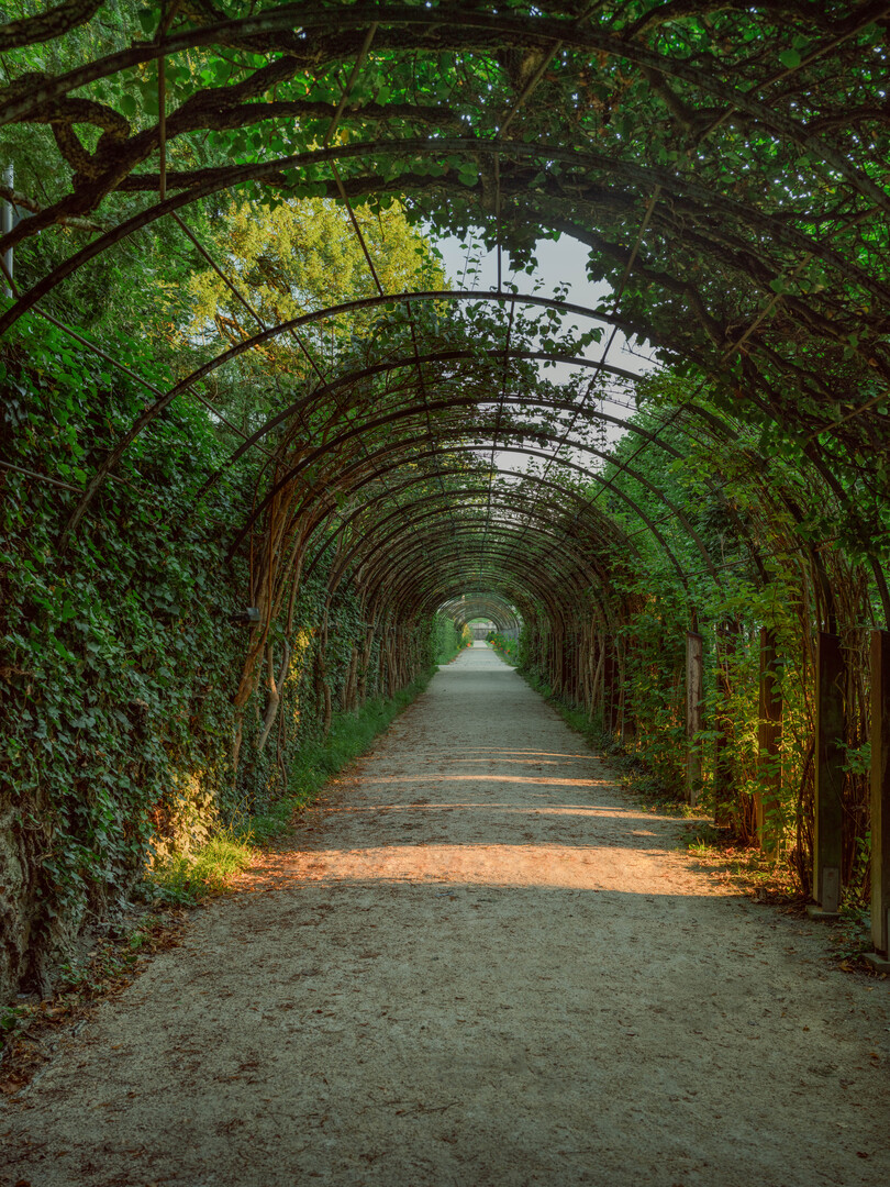 Maria and the children dance through the hedge tunnel, singing 'Do-Re-Mi'. | © Tourismus Salzburg GmbH, Foto: Patrick Langwallner