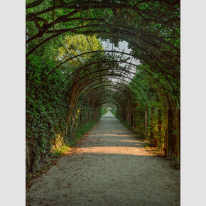 Maria and the children dance through the hedge tunnel, singing 'Do-Re-Mi'. | © Tourismus Salzburg GmbH, Foto: Patrick Langwallner