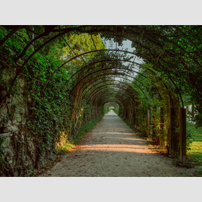 Maria and the children dance through the hedge tunnel, singing 'Do-Re-Mi'. | © Tourismus Salzburg GmbH, Foto: Patrick Langwallner