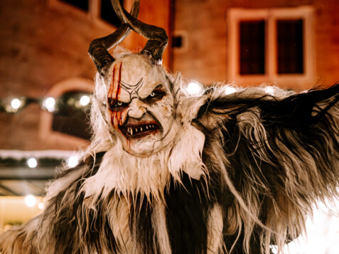 © TSG / M. Kohlmayr