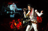 Elvis | © COFO Entertainment GmbH & Co.KG
