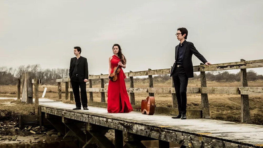 Amatis Trio | © Foppe Schut