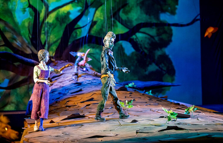 Der alte Baum | © Bernhard Mueller