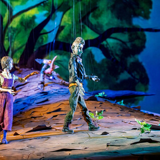 Der alte Baum | © Bernhard Mueller