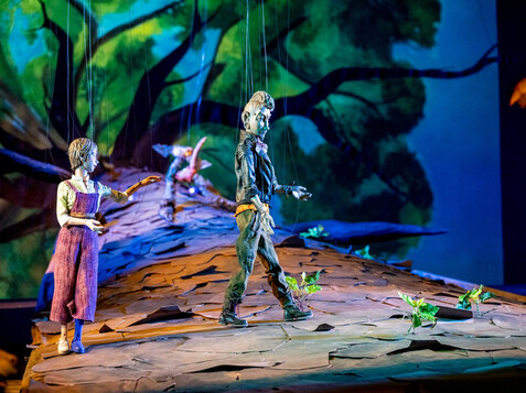 Der alte Baum | © Bernhard Mueller